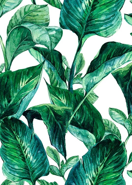 Green Leaves Pattern Plakat / Kunstplakater hos Desenio AB (2288)