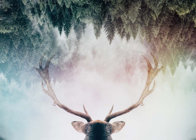 Antler Plakat