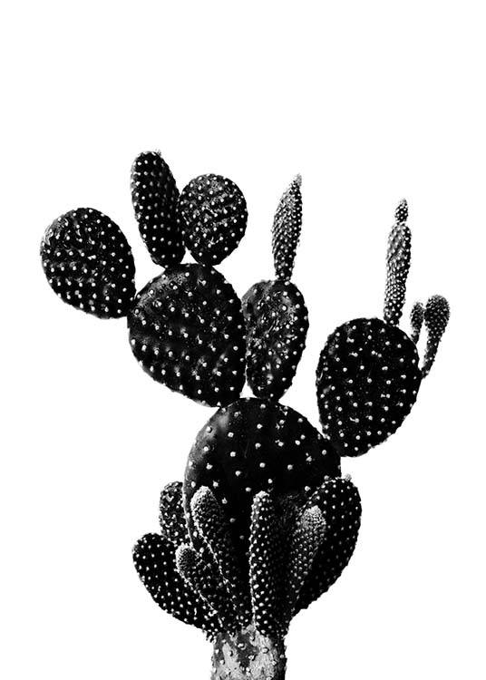 Black Cactus One Plakat / Sort-hvid hos Desenio AB (2429)