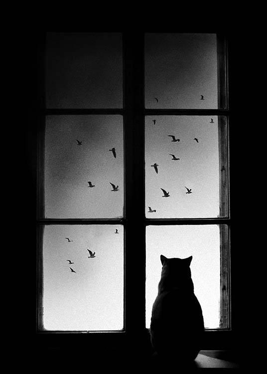 Cat In Window Plakat / Sort-hvid hos Desenio AB (2675)