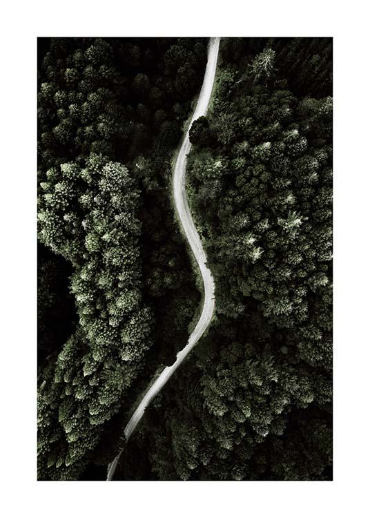 Forest Above Plakat / Naturmotiv hos Desenio AB (2713)