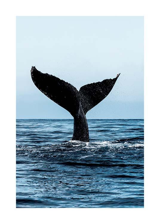 Humpback Tale Plakat