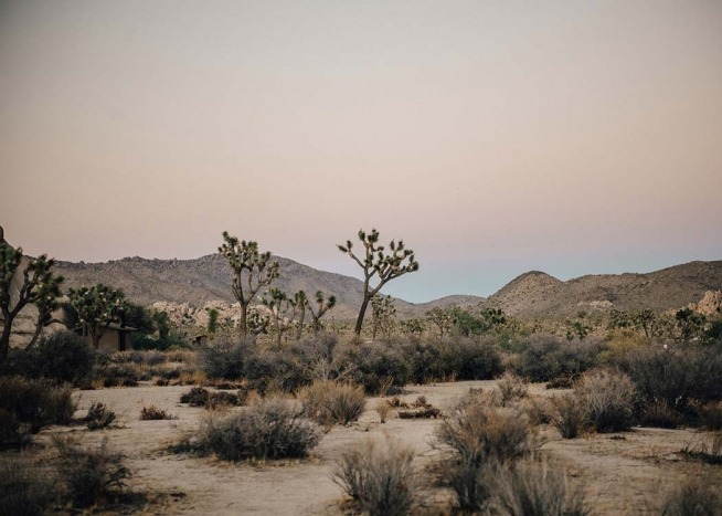 Mojave Desert Plakat / Naturmotiv hos Desenio AB (2888)