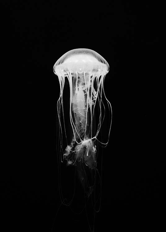 Jellyfish B&W Plakat