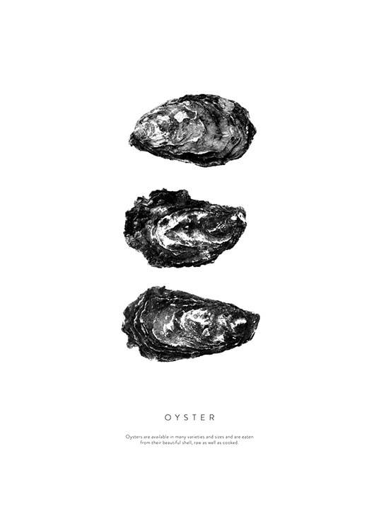 Oyster Three Plakat / Sort-hvid hos Desenio AB (3165)