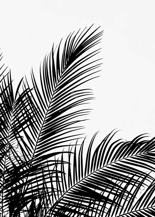 Black Palm Tree Two Plakat