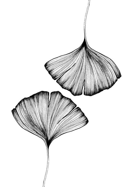 Ginkgo Leaves Plakat / Sort-hvid hos Desenio AB (3600)