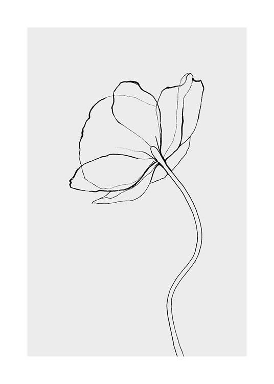 Line Poppy Plakat