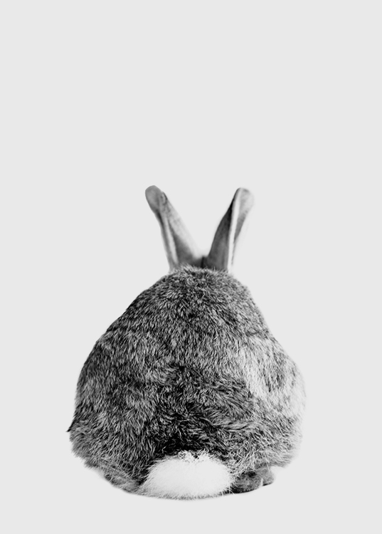 The Cutest Thing Plakat