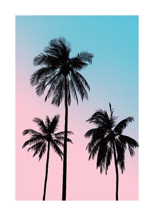 Pink Palm Sky Plakat