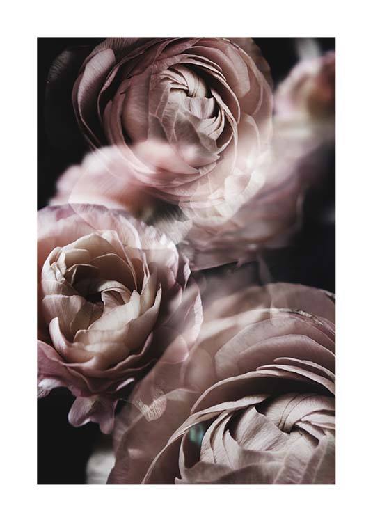 Fairy Tale Flower No2 Plakat / Fotokunst hos Desenio AB (3920)