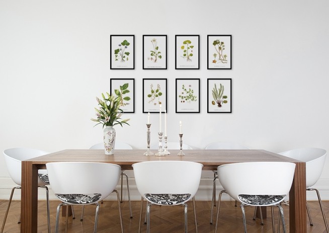 Nordisk indretning, plakater med botanik