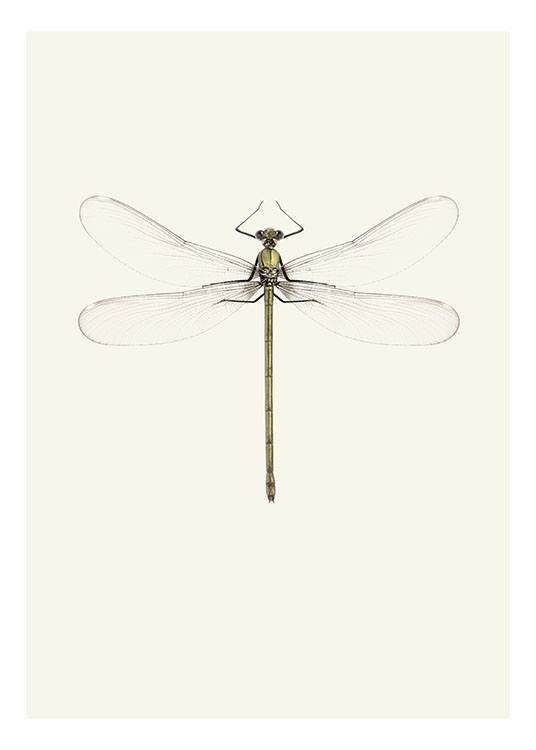 Vintage Dragonfly, Plakat  / Vintage hos Desenio AB (7947)