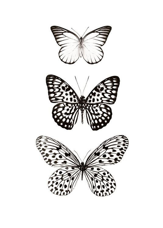 Three Butterflies, Plakater