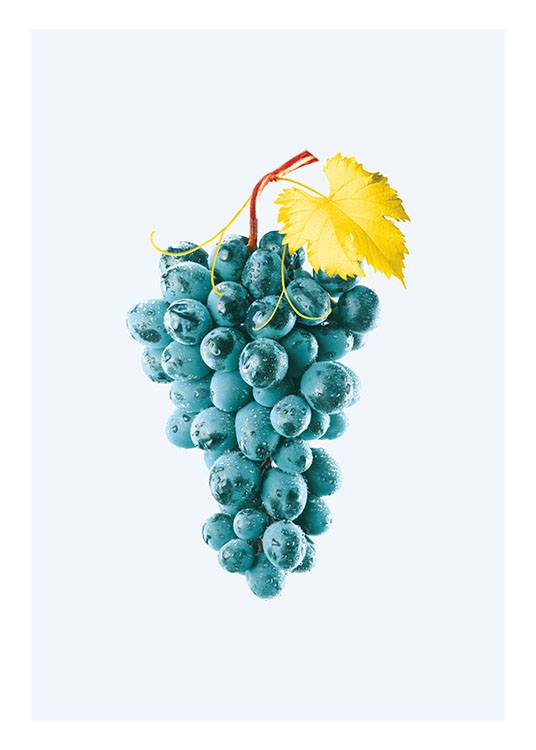 Blue Grapes, Plakat / Kunstplakater hos Desenio AB (8209)