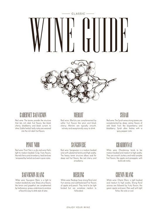 Wine Guide, Plakat / Køkkenplakater hos Desenio AB (8228)