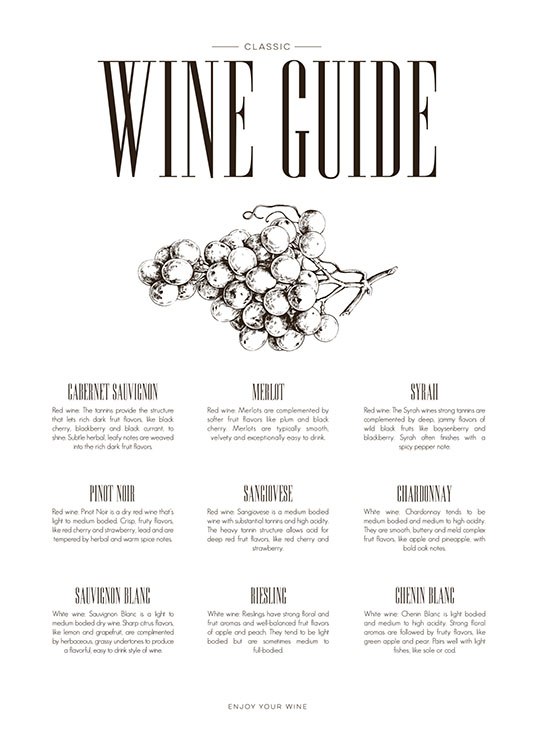 Wine Guide, Plakat