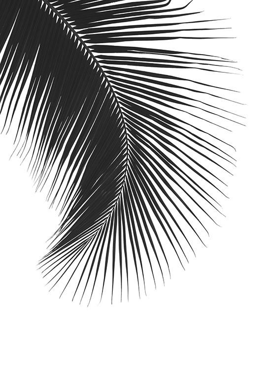 Black Palm Leaf, Plakat / Sort-hvid hos Desenio AB (8242)