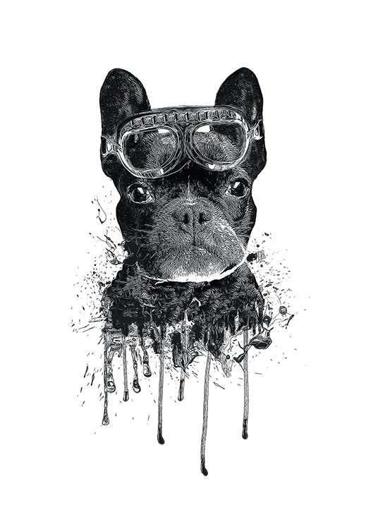 French Bulldog, Plakat