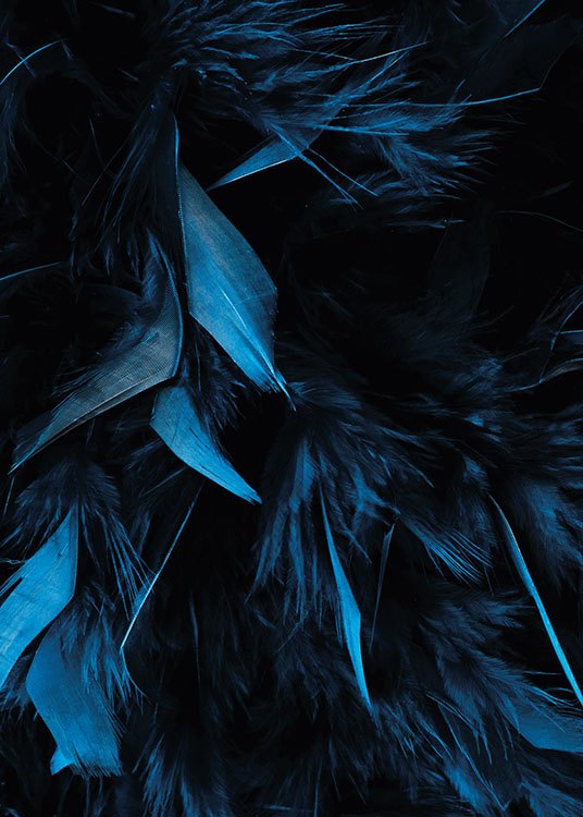 Blue Feathers, Plakat / Fotokunst hos Desenio AB (8483)