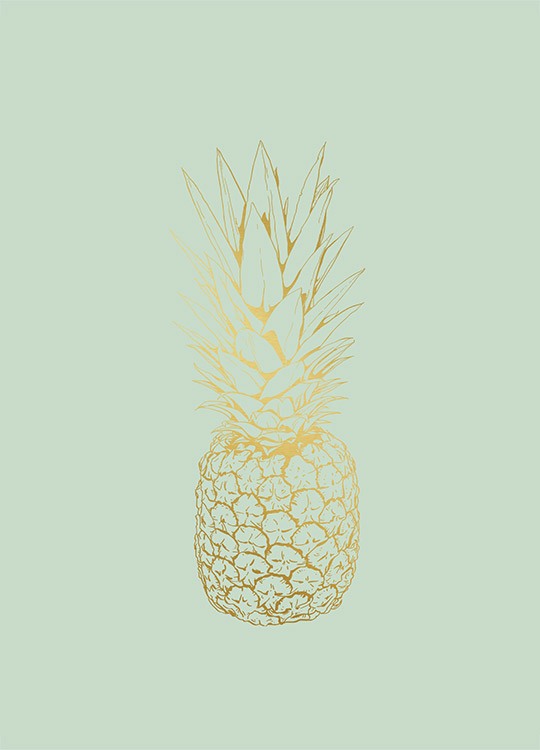Pastel Pineapple, Plakater
