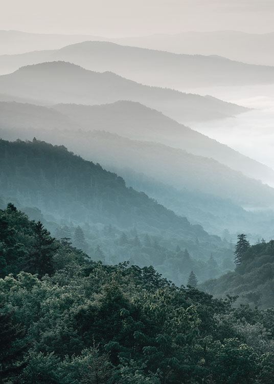  – Fotografi af et landskab med skove på bjerge og tåge i baggrunden