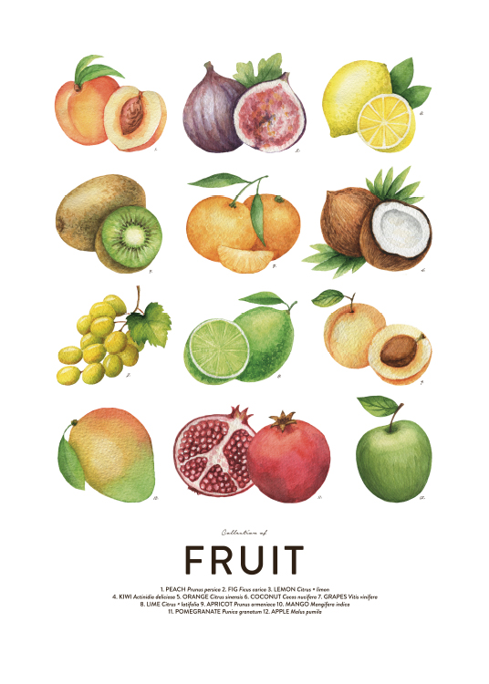 Fruit, Plakater