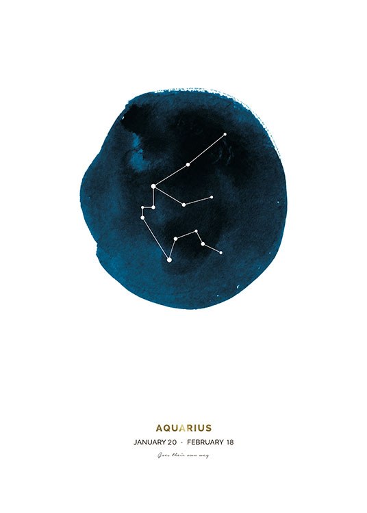 Aquarius Plakat