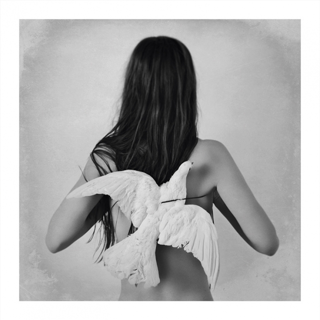 Love Warriors Sky Plakat