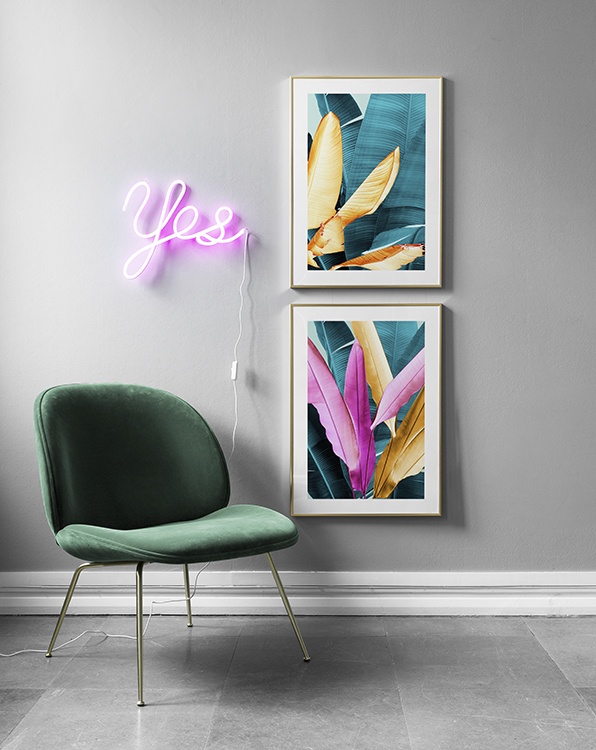 Trendy entré med neonfarver