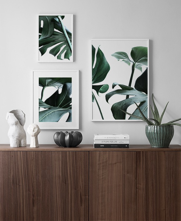 Inspiration til botanisk indretning med monsterablad